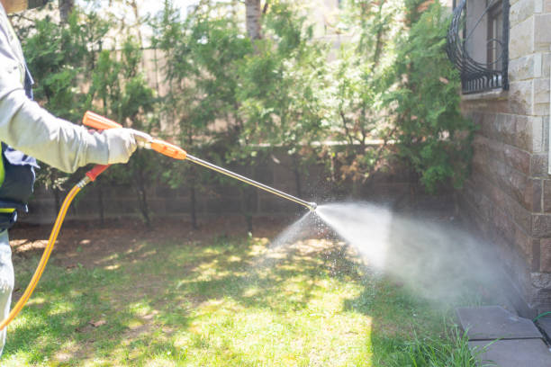 Seasonal Pest Control (e.g., summer mosquitoes, winter rodents) in Kendallville, IN